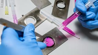 Close up image of a microscope slide, a pink liquid can be seen in the slide. Gloved hands are manipulating the liquid with tools.